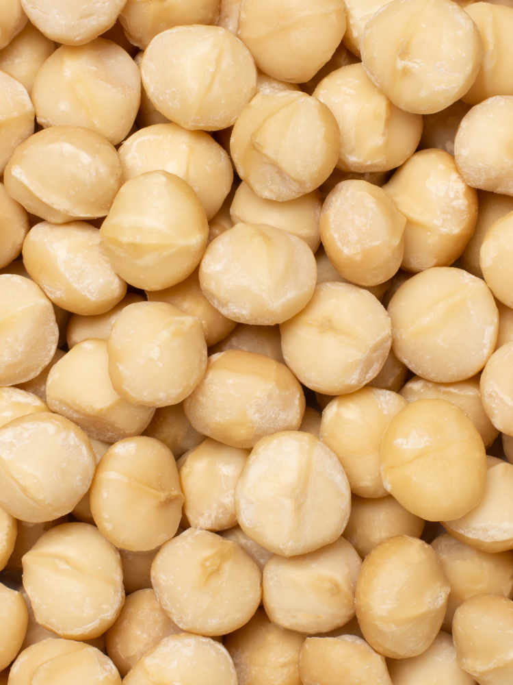 Creamy Macadamia Butter